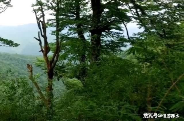 江门这场活动正式启动!发射大泡泡、模拟火山爆发......现场“有料”又精彩!
