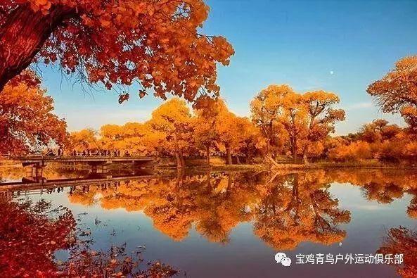 老旧的停车场3