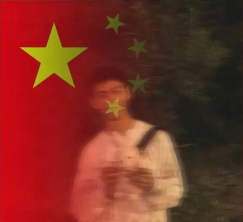 植物大战僵尸15