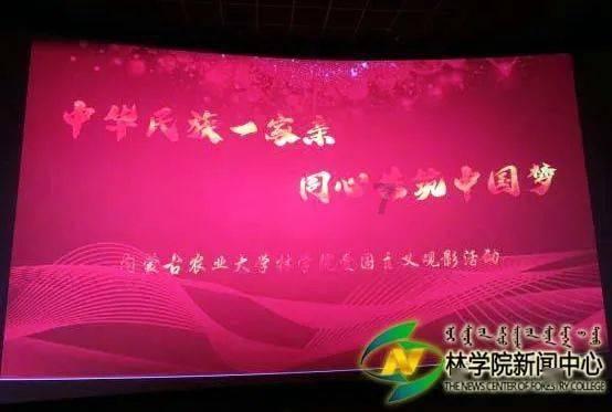 日常照片拼图